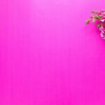 pink background